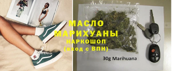 2c-b Ельня