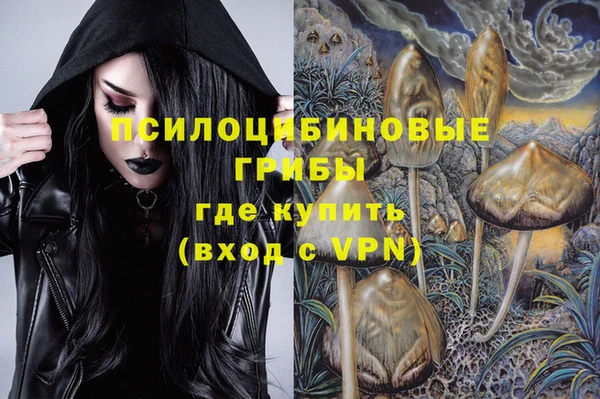 2c-b Ельня