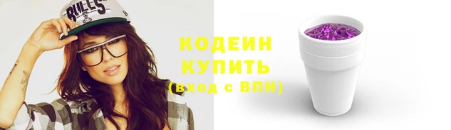 2c-b Ельня
