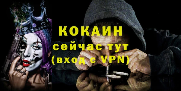 Альфа ПВП Елизово