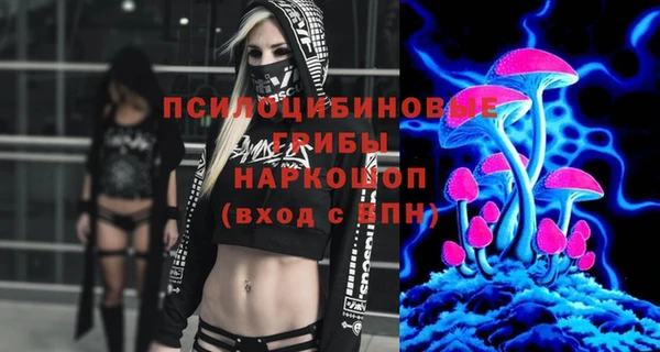 Альфа ПВП Елизово