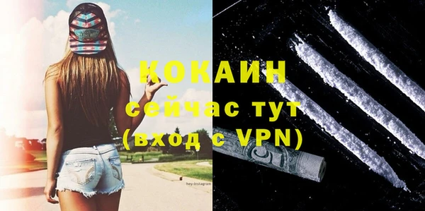 2c-b Ельня