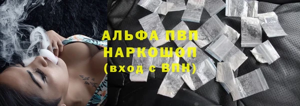 2c-b Ельня